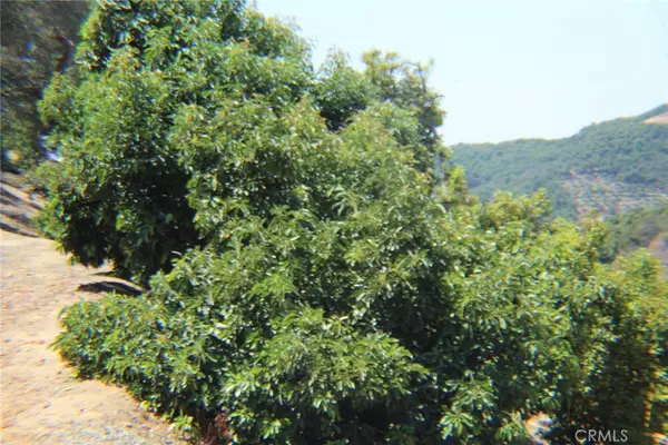 Temecula, CA 92590,4 Via Vaquero RD