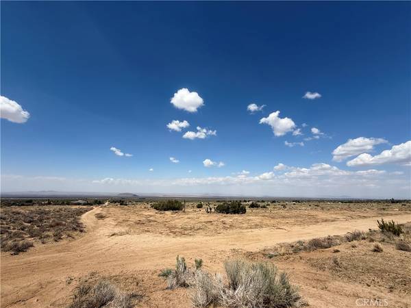 Llano, CA 93544,0 Ave Y8 & 233rd St E AVE