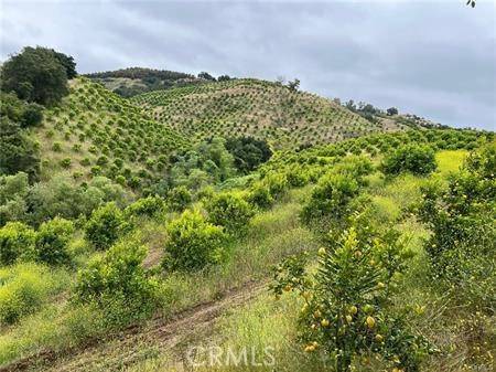 Temecula, CA 92590,0 AVENNIDA TIERRA 2 LOTS