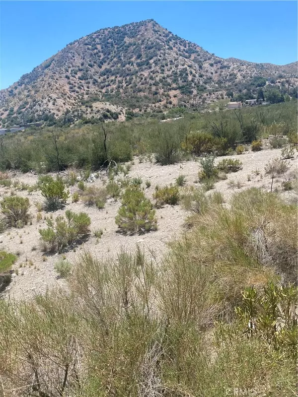 0 Farris Ranch Road, Pinon Hills, CA 92372