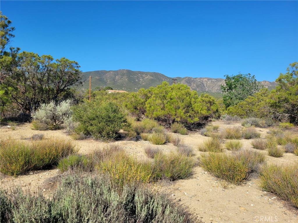 Anza, CA 92539,0 Thunder Rd