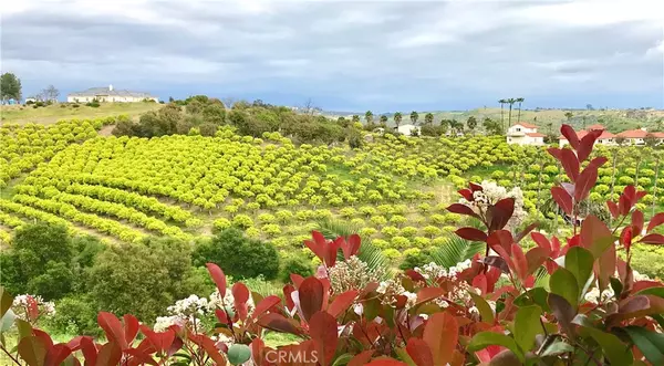 Fallbrook, CA 92028,4462 Fallsbrae RD