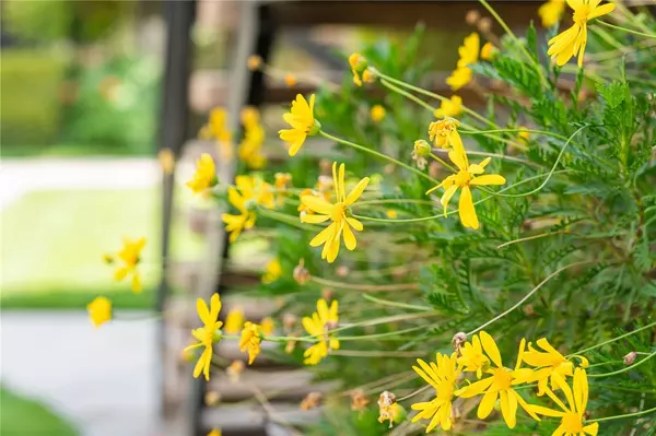 Hemet, CA 92544,43195 Andrade AVE #L