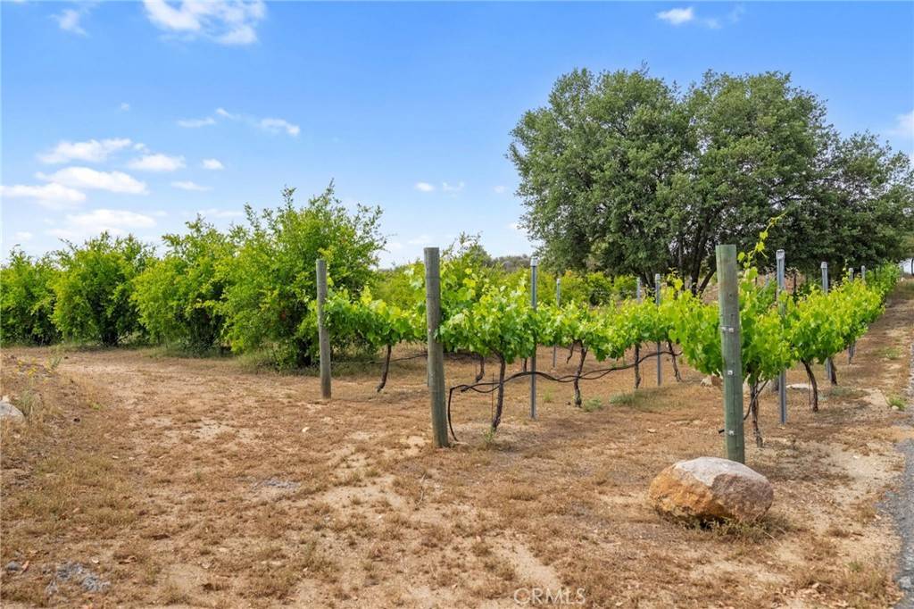 Murrieta, CA 92562,0 Hombre