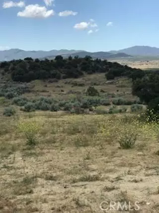 Anza, CA 92539,56965 Ca-371