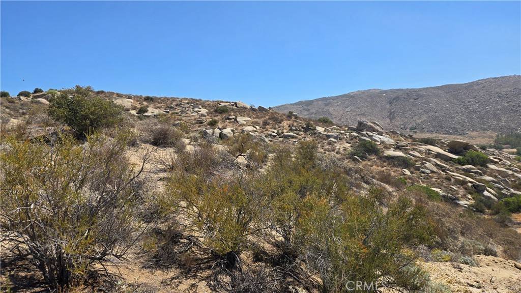 Aguanga, CA 92536,0 Leo RD