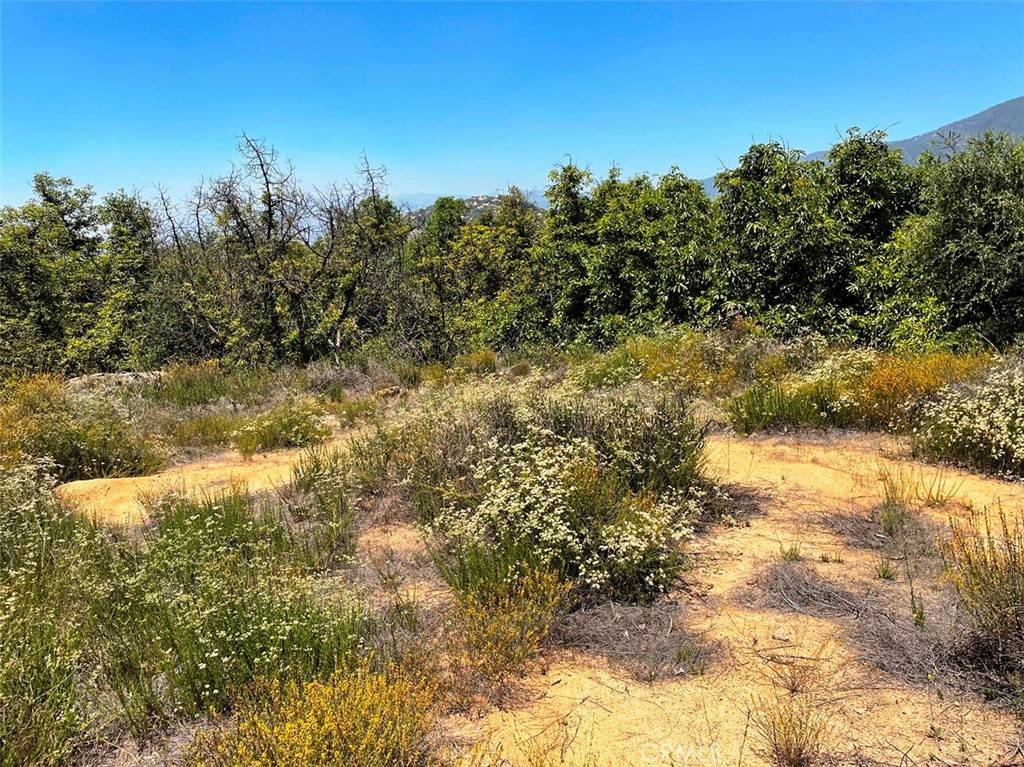 Temecula, CA 92590,1 Vista Del Mar