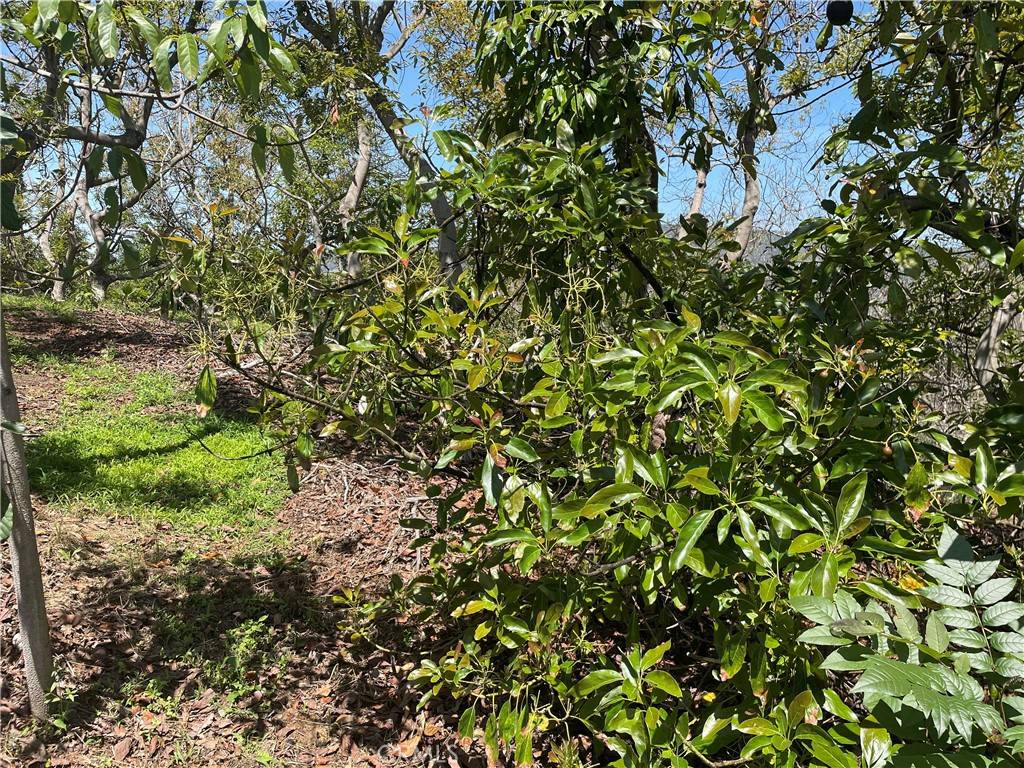 Temecula, CA 92590,4 Los Gatos RD