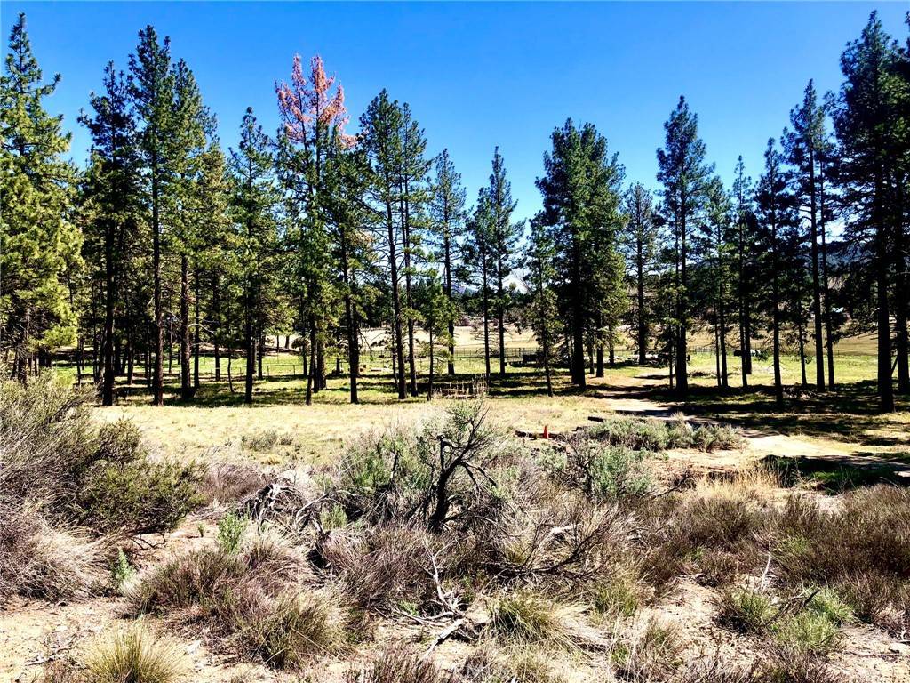 Mountain Center, CA 92561,0 Butterfly Peak Rd.