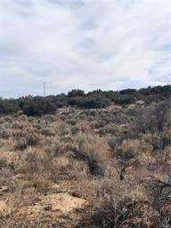 Anza, CA 92539,0 Ramsey RD