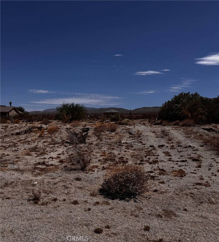 Borrego Springs, CA 92004,1451 Sewanee DR