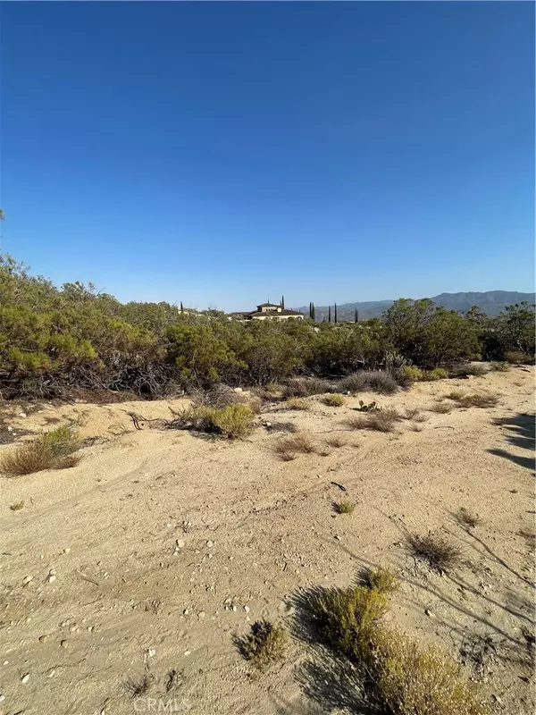 61700 Indian Paint Brush RD, Anza, CA 92539