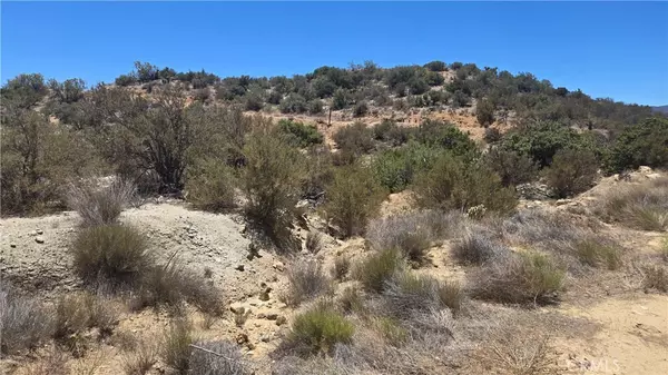Anza, CA 92539,0 Old Cattle TRL