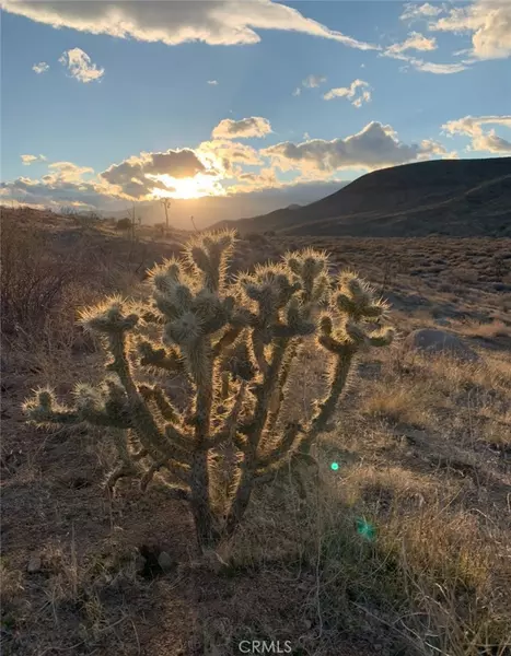 0 E DR, Pioneertown, CA 92268