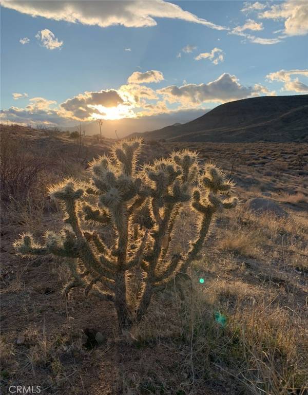 0 E DR, Pioneertown, CA 92268