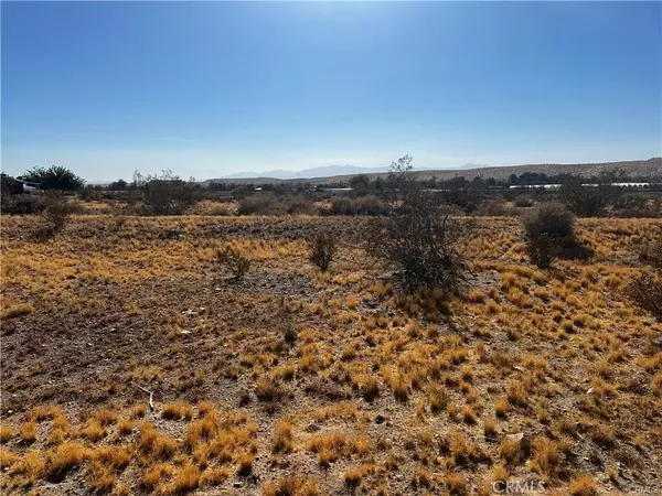 Oro Grande, CA 92368,0 .