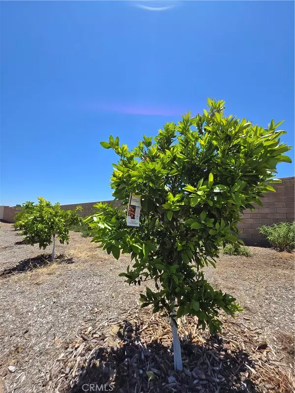 Temecula, CA 92591,32195 Daybrook Terrace