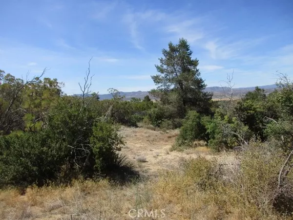 Anza, CA 92539,37401 Hill ST
