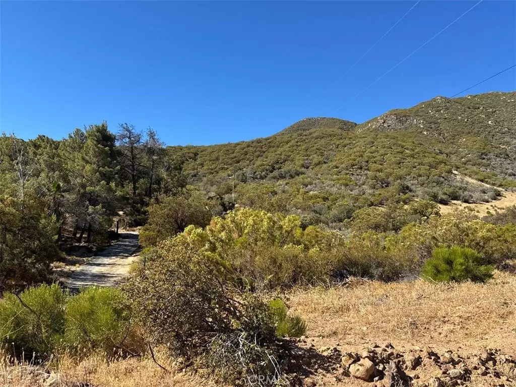 Anza, CA 92539,0 Chapman RD