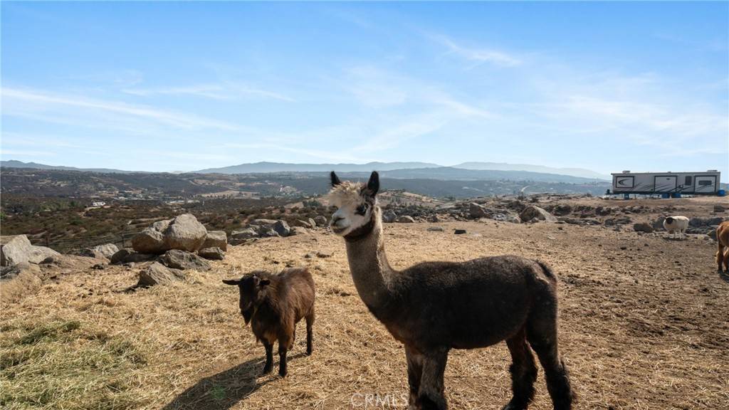 39551 Intrepid RD, Temecula, CA 92592