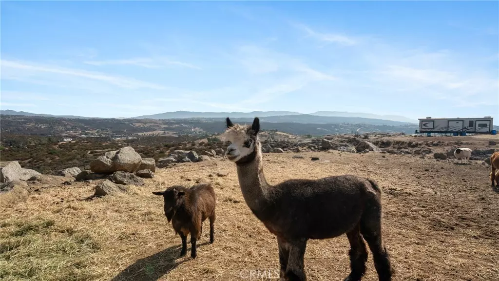Temecula, CA 92592,39551 Intrepid RD