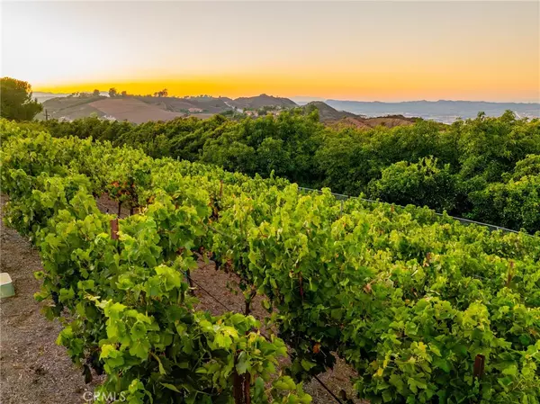 Temecula, CA 92590,28282 Sycamore Mesa RD