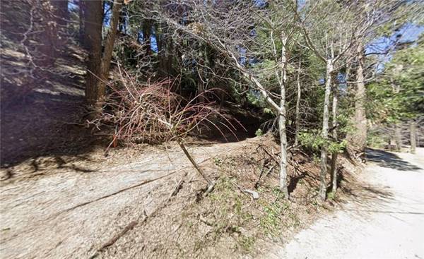 Lake Arrowhead, CA 92352,0 Community DR