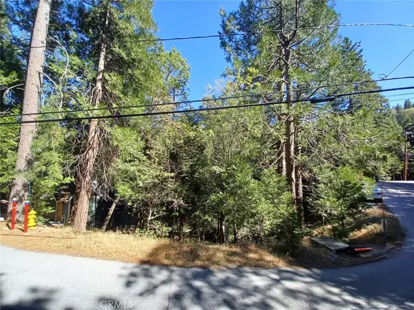 Twin Peaks, CA 92391,0 Club House DR