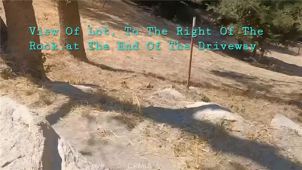 Twin Peaks, CA 92391,0 Pine TRL