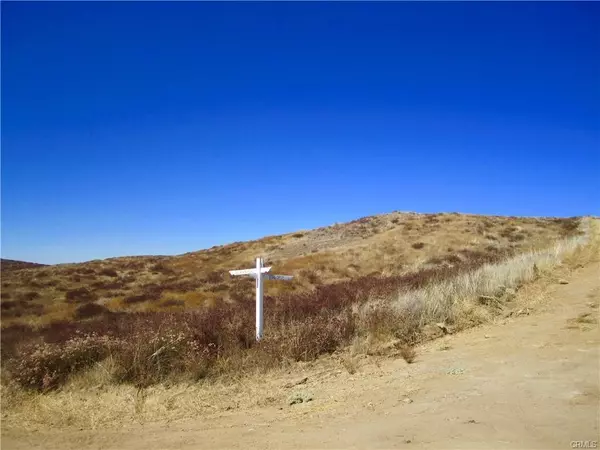 Temecula, CA 92592,0 Buckskin/Stag