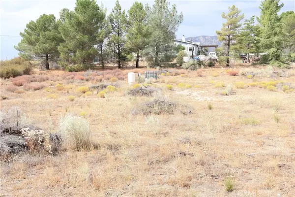 Aguanga, CA 92536,42255 Lakeshore BLVD