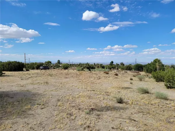 9855 Holiday LN, Pinon Hills, CA 92372