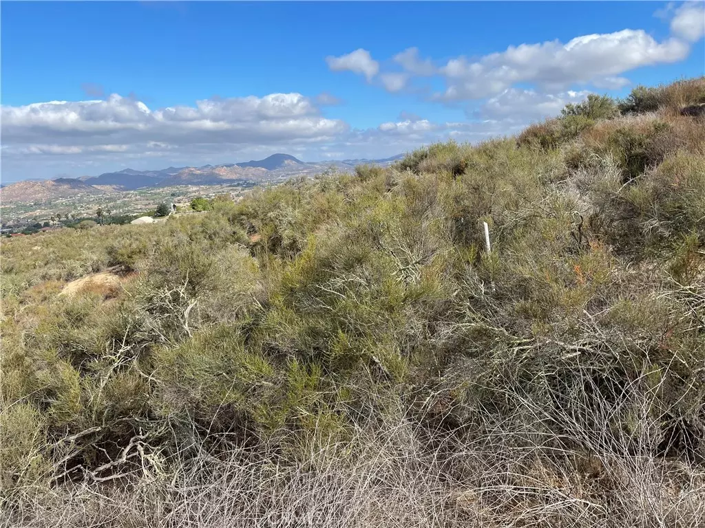 Temecula, CA 92592,1 Esplendida WAY