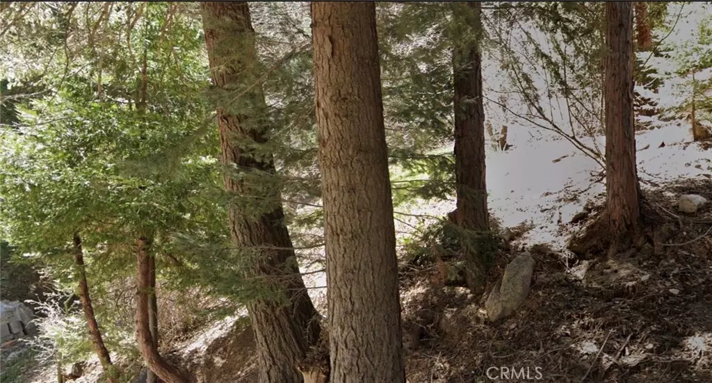 0 Wellsley, Lake Arrowhead, CA 92352