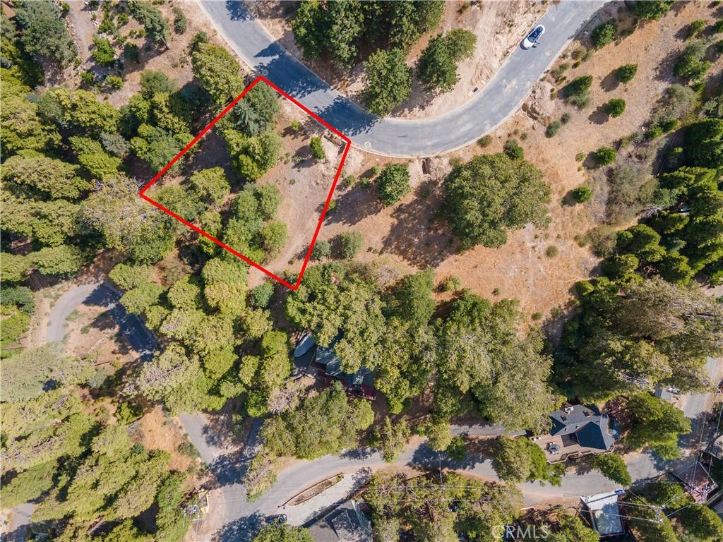 Lake Arrowhead, CA 92352,167 Mill Pond RD