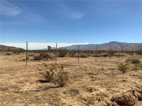 Apple Valley, CA 92307,11725 Lagartijo DR