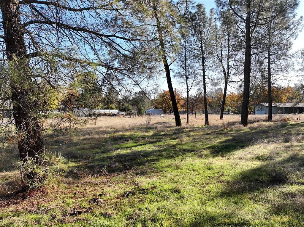 Corning, CA 96021,7672 Green Oak DR