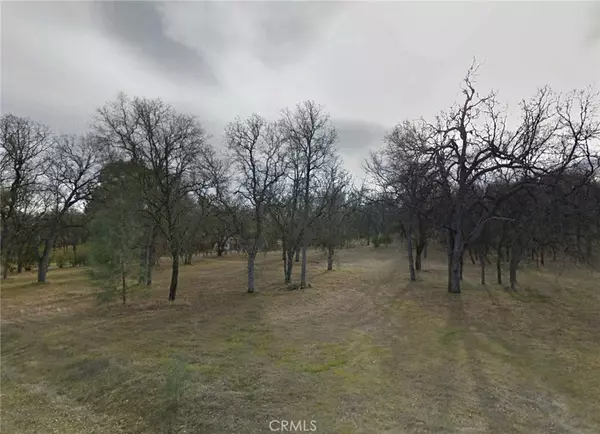 Corning, CA 96021,15857 Sutter CT