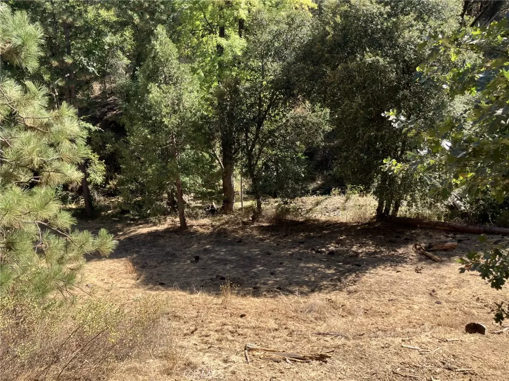 Coulterville, CA 95311,8112 Anderson Valley RD
