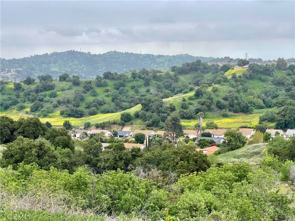 Diamond Bar, CA 91789,21062 Quail Run DR