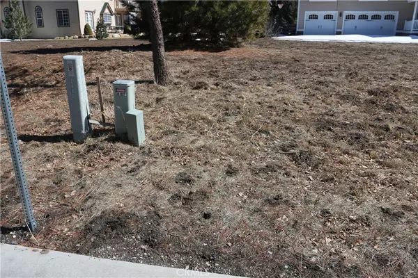 Big Bear Lake, CA 92315,275 Meadow CIR N