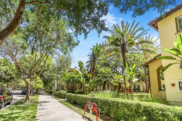 Irvine, CA 92603,32 Perennial