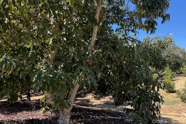 Temecula, CA 92590,0 Monte Rancho
