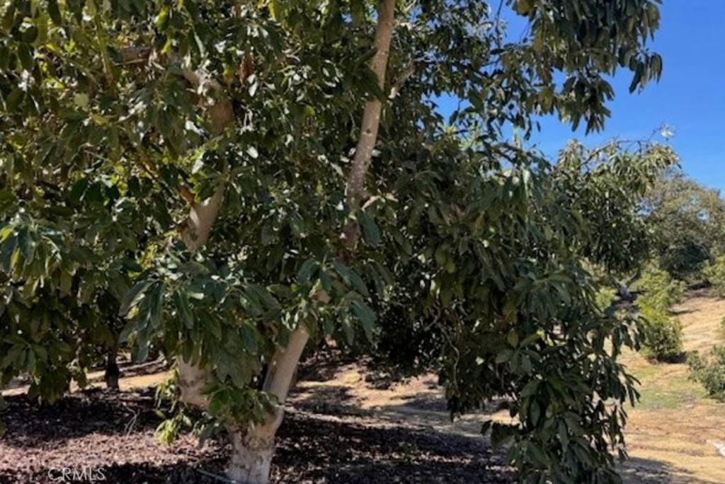 Temecula, CA 92590,0 Monte Rancho
