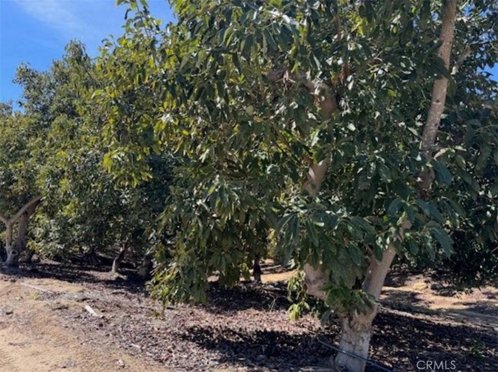Temecula, CA 92590,0 Monte Rancho