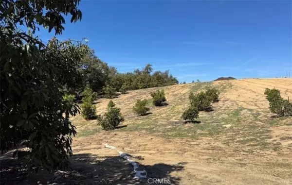 1 Monte Rancho, Temecula, CA 92590