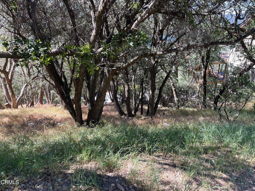 Lake Arrowhead, CA 92352,1341 Yellowstone Dr DR