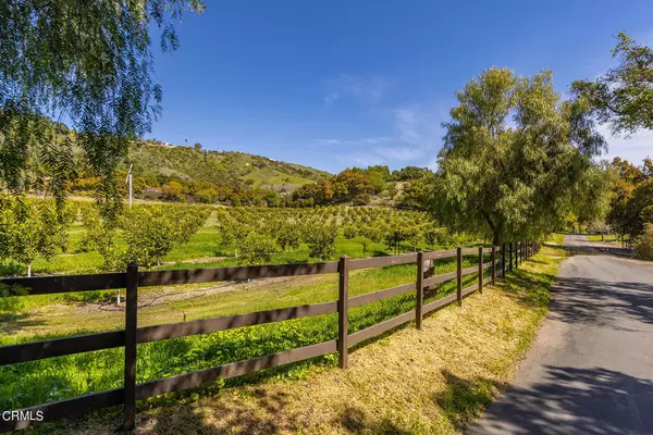 Ojai, CA 93023,10802 Oak Knoll RD