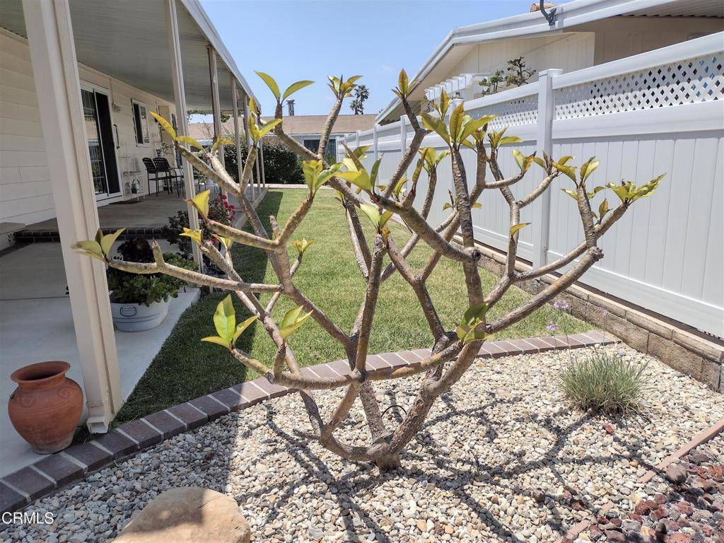 Camarillo, CA 93012,139 Tranquila CIR #57