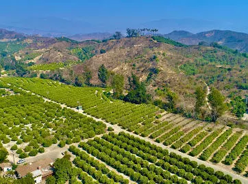 Santa Paula, CA 93060,0 Foothill RD